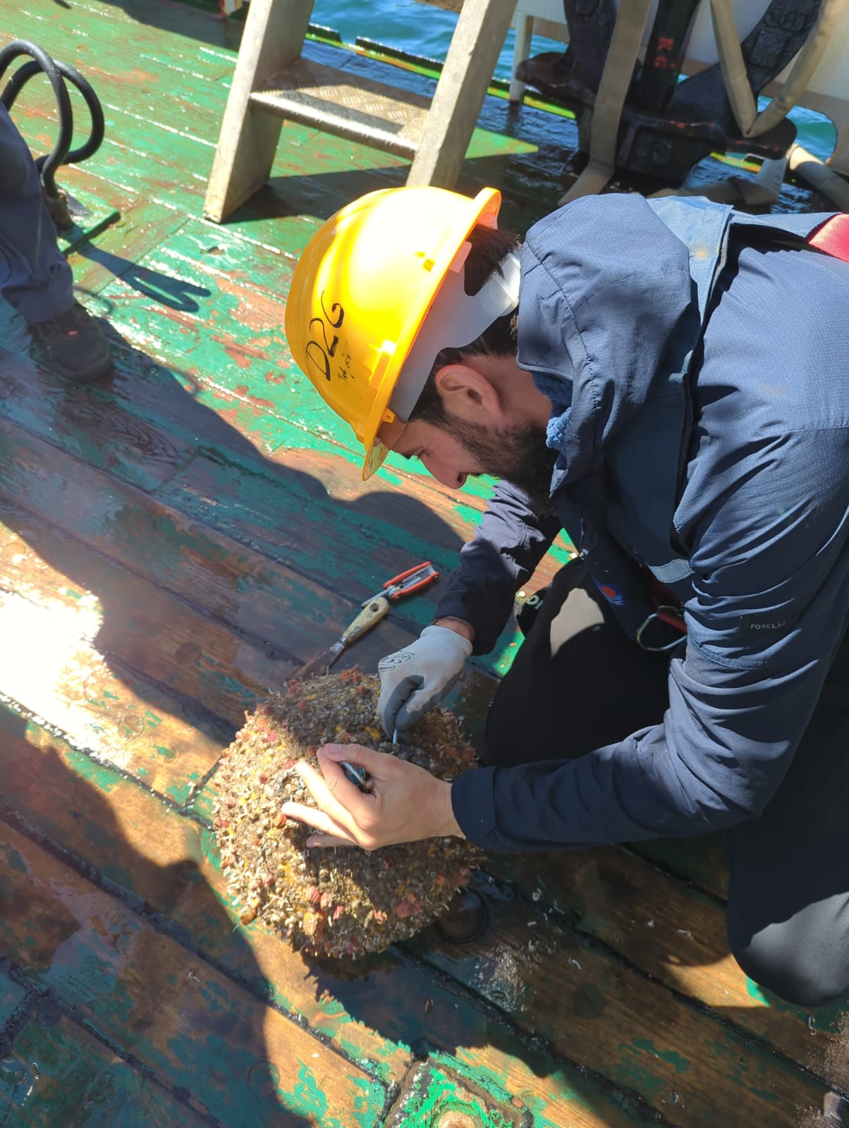 Acoustic receiver maintenance on a vessel.